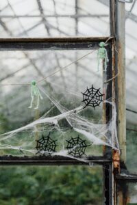 Halloween window with cobwebs and spiders