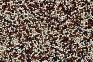 quinoa, high protein nut free protein source