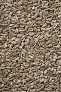 sunflower seeds, an allergy-friendly protein source