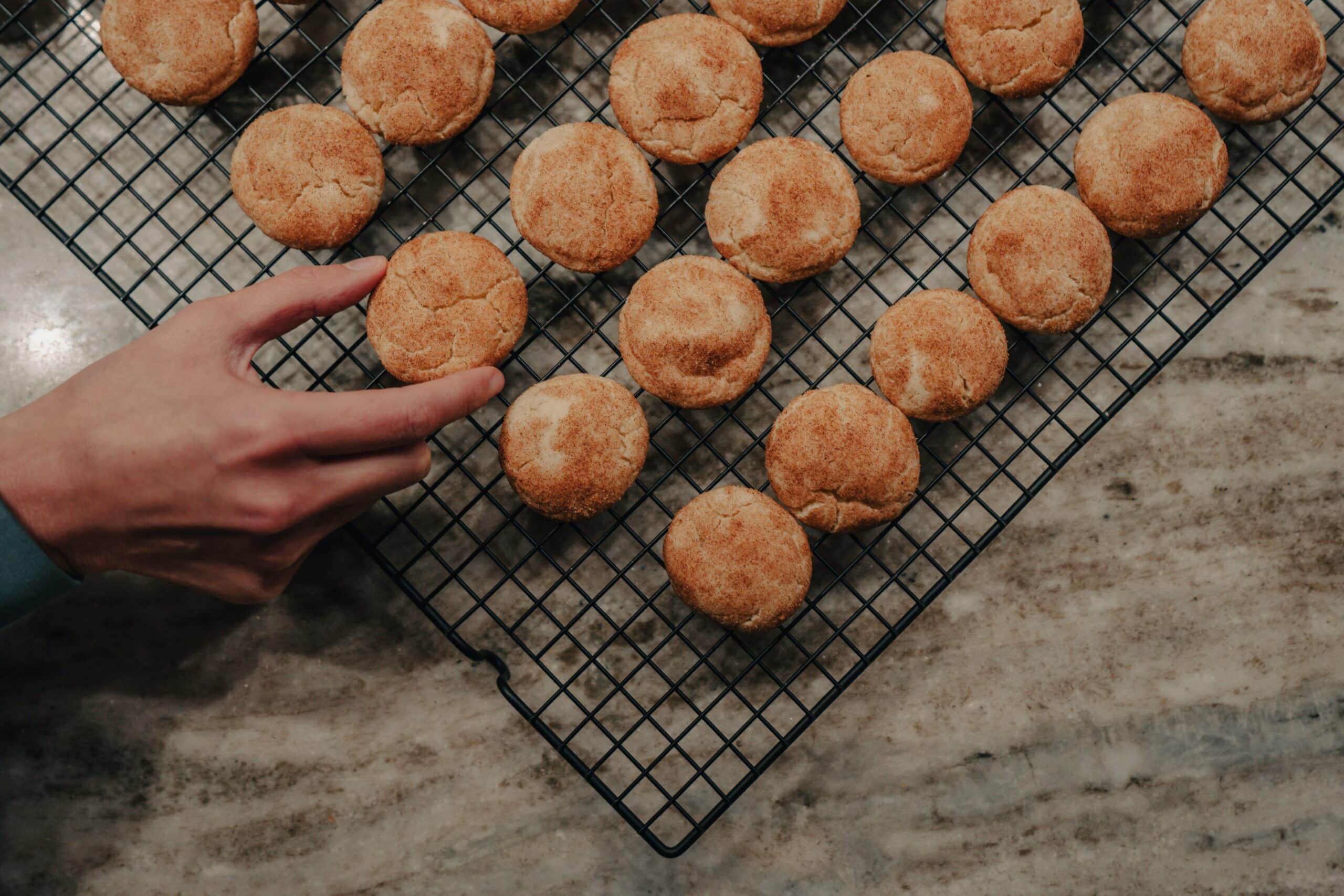 gluten-free sourdough discard snickerdoodles
