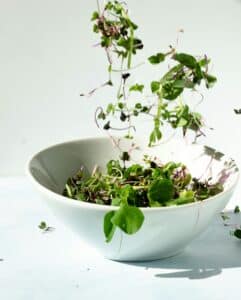 Adding spring mix greens into a bowl when building a balanced salad with protein