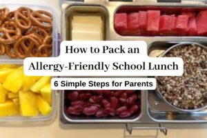 Allergy friendly school lunch example