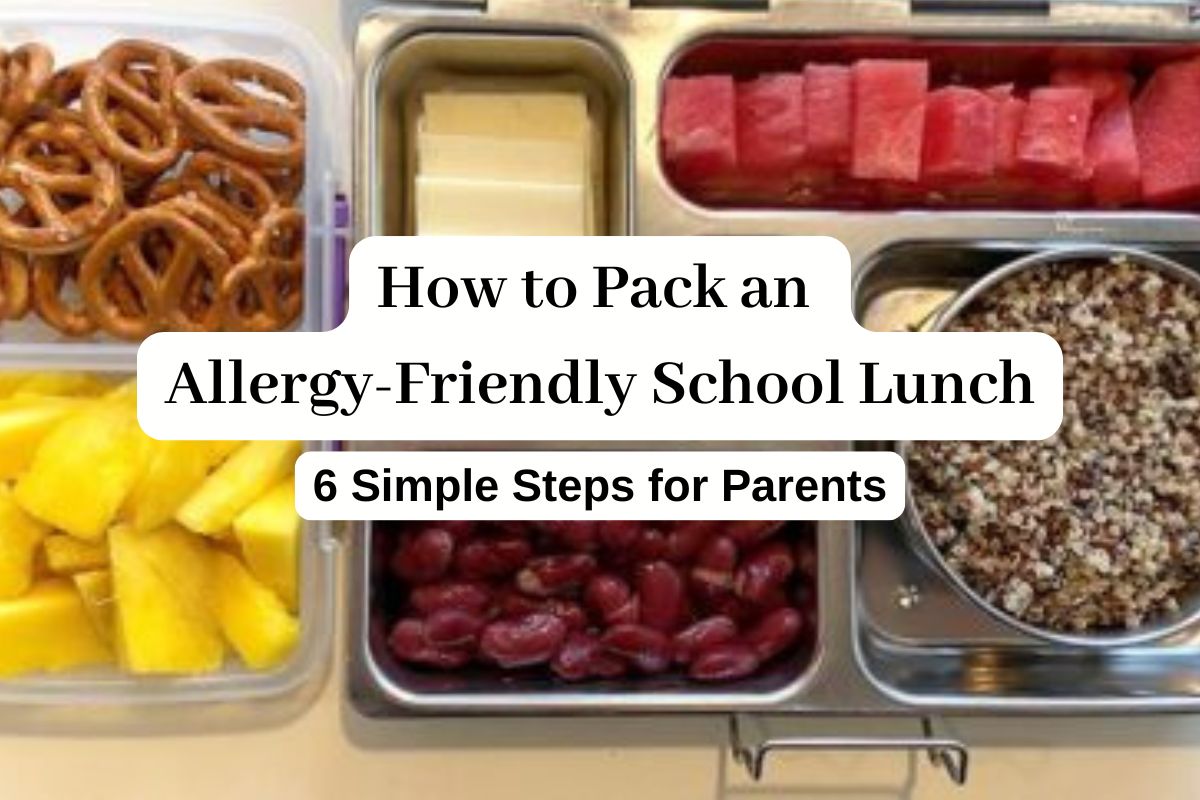 Allergy friendly school lunch example